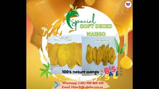 DRIED MANGO // EXPORT FROM VIETNAM