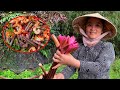 Gourmet Harvest: Picking Water Lilies and Herbs for a Flavorful Shrimp and Eel Wrap Water Lily Salad