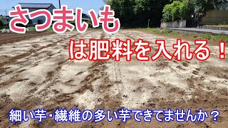 失敗した経験から肥料が大事！窒素を抑えて植え付け準備！【さつまいも】美味しい芋を目指す！