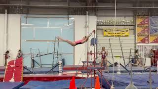 Double Arabians on Bars