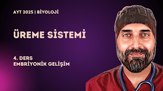 Üreme Sistemi | 4. Ders Embriyonik Gelişim | 2025 - YKS