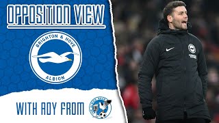 Opposition View | Brighton \u0026 Hove Albion (A) w/ @thealbionroar5006