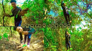 Jungle mein ye khana pada | ଜଙ୍ଗଲ ରେ ଵି ଏମିତି ମିଳିବ