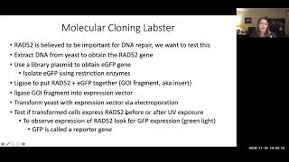 Molecular Cloning Labster Introduction 2020