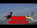 Dinoshark Scene Pack | Dinoshark