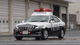 【緊急走行】現場へ向かう“機動警ら隊”のパトカー