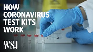 How Coronavirus Test Kits Work | WSJ