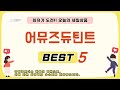 어뮤즈듀틴트 쇼핑 가이드 추천 TOP5