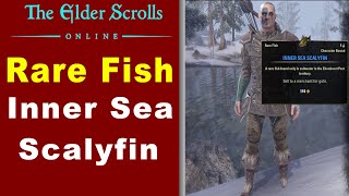 How to Catch Rare Fish Inner Sea Scalyfin in Bleakrock Angler ? ESO Guide (2023)