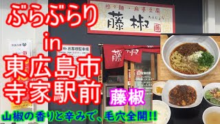 【ぶらぶらりイン広島】#139 ランチ 広島 東広島市 寺家駅前 藤椒