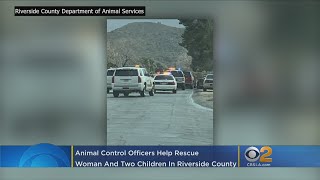 Kidnapped Mother, 2 Children Rescued In Yucca Valley Thanks To Animal Control Officers