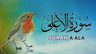 Surah Al-Ala Full (Ep-10) | Surah Ala Beautiful Tilawat | Full Hd With Arabic Text  (087 سورةالاعلی)