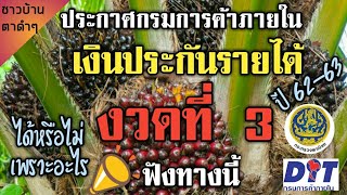 📣เงินประกันรายได้ชาวสวนปาล์มน้ำมัน งวดที่ 3 ได้หรือไม่ ฟังด่วน