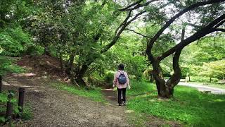 尾根緑道を歩く