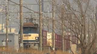 2013.2.2貨物列車ＥＦ６６３６　武蔵野線１０６１レ