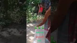 অবশেষে সালাবন্দী কালকেউটে সাপ 🐍 বয়স্ক সাপের ওঝা পির কাজটা করলেন ❤️