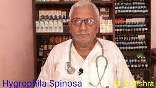 Hygrophila Spinosa/Homeopathic Medicine/Dr.A.Mishra