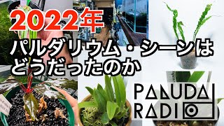 《2022年を振り返り、2023年を考える》【パルダラジオ 第４回 2022/12】【パルダリウム】