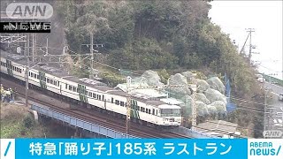 「踊り子」185系ラストラン　東京駅に多数のファン(2021年3月12日)