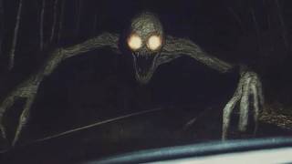 Cryptid Sightings Around The World That Scientists Can't Explain