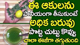 ఈ ఆకులతో చేసిన పానీయం త్రాగితే. I Drumstick Leaves, Munagaku, Benefits Telugu I Everything in Telugu