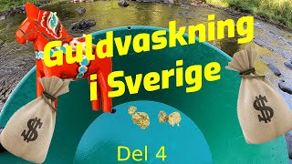 Guldvaskning i Sverige 2020 del 4