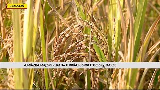 പാലക്കാട് കർഷകരെ ദുരിതത്തിലാക്കി സപ്ലൈക്കോ| Paddy Procurement |Palakkad | Supplyco| Mathrubhumi News