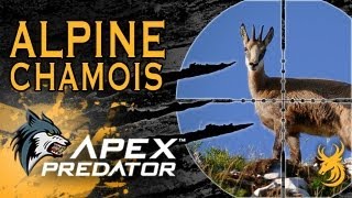 Apex Predator: Chamois hunt in Slovenia