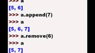 Python Lists Append and Remove functions and Querying
