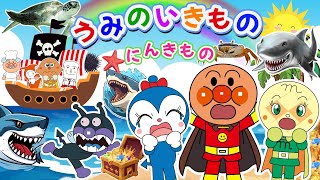 【海の生き物大集合】アンパンマンと一緒に調べよう☆アンパンマンが船を運転して、仲間たちを連れて海の生き物を探検しに行きます！イルカ、サメ、カメなど、25種類の海の生き物が揃ったコレクションが登場！