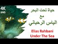 Elias Rahbani Under The Sea حياة تحت البحر مع الياس الرحباني