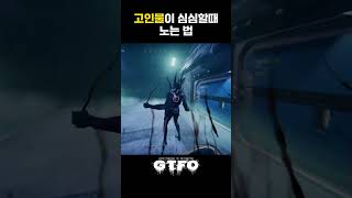 고인물이 노는 법 - GTFO