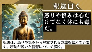 「怒りや恨みを手放す」釈迦（ブッダ）の智慧—心を軽くする秘訣、釈迦（ブッダ）は心の乱れを改善させればやがて幸福感が増し、幸せな人生を築く事ができると言っています。