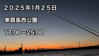 1月下旬、東扇島西公園にて