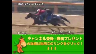 スプリングステークス（GII） マウントロブソン調教動画　「競馬レース結果ハイライト」2016年