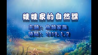 娃娃家的自然課0107~主題:魚兒家族