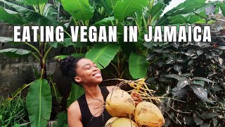 A Realistic Week of Eating Vegan in Jamaica | Plant-based Meal Prep