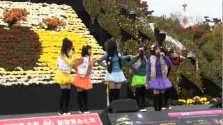 アルプスおとめ　「アルプスおとめのテーマ」　2012.11.4