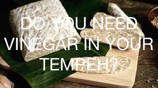 Do You Need  Vinegar In Your Tempeh?