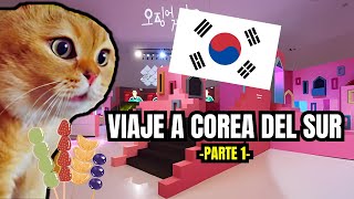 VIAJE A COREA DEL SUR , parte 1 (meme de gatos)