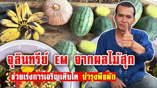 จุลินทรีย์ EM จากผลไม้สุก