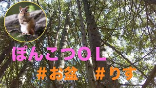 【北海道暮らし】２４歳OLが公園で野生のリスに癒された【札幌】