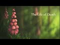 The Life of death,di 