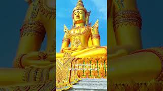 #ไหว้พระ #ไหว้พระทำบุญ #สาธุ #สาธุๆ #yutube #travel #yutubeshorts #เที่ยว #เที่ยวไทย #เที่ยววัด