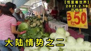 KWT1118大陆情势之二20210219-9【悟里看世界】