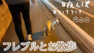 【お散歩動画】フレンチブルドッグと夜のお散歩！！はじめて通る怪しい道を通ってどこへ行くの？