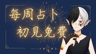 【每周占卜#4】試營運 塔羅新手｜Gin ne銀禰💫｜#塔羅 #占卜 #男V #台V #vtuber