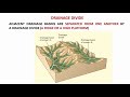 Drainage Types and Patterns By Dr.Krishnanand