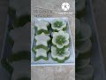 Talam pandan tepung beras