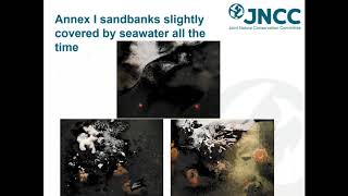 JNCC Science Talks - Sandbanks and Science